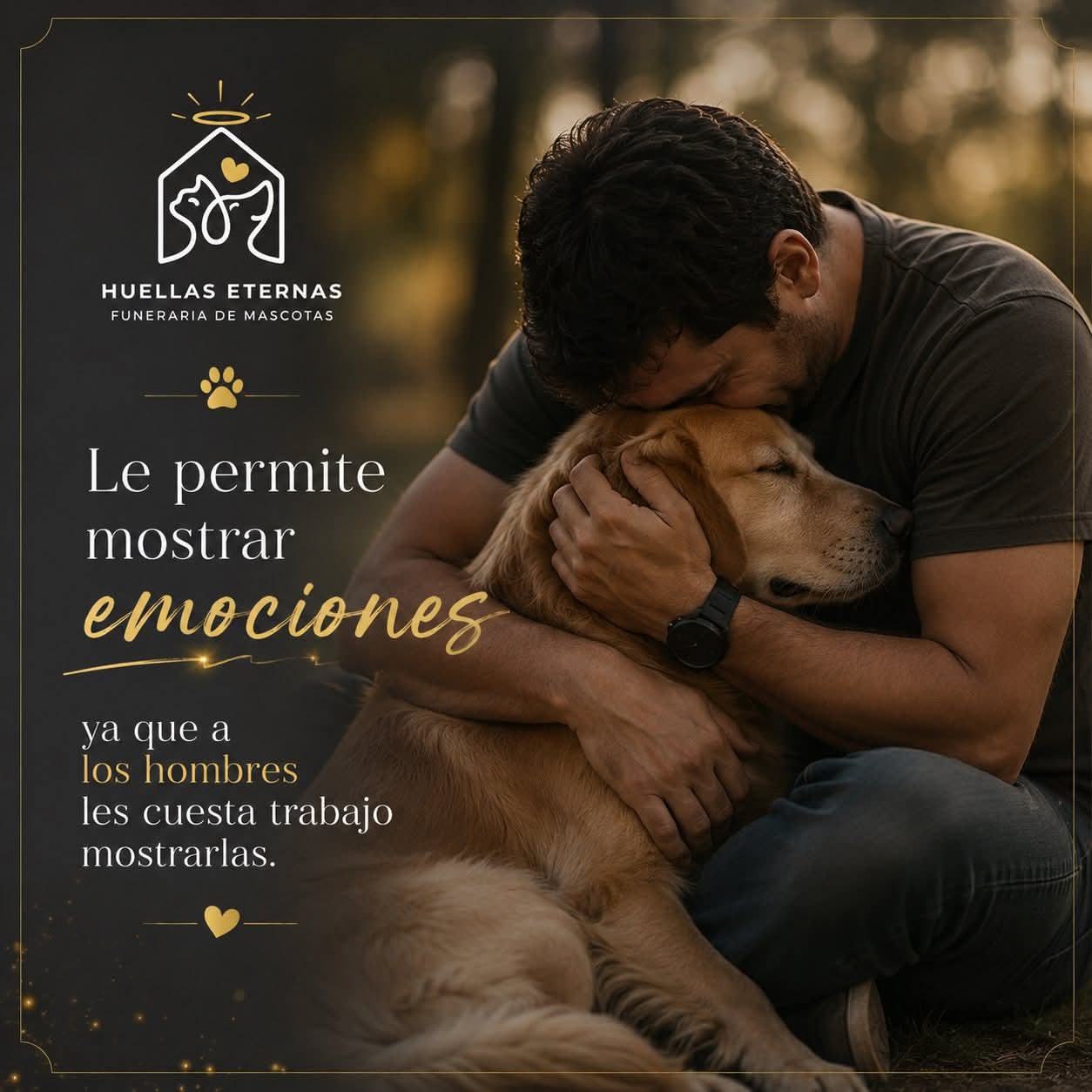 Acompañamiento emocional